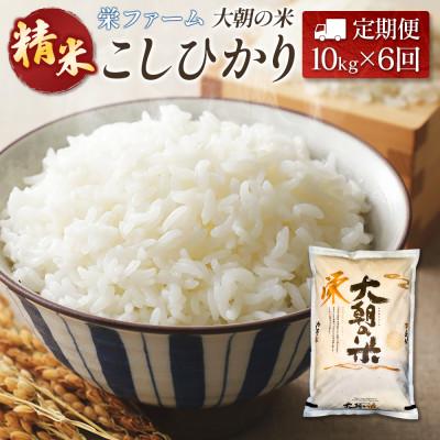 ふるさと納税 北広島町 【毎月定期便】コシヒカリ 精米 10kg 大朝の米こしひかり 栄ファーム全6回