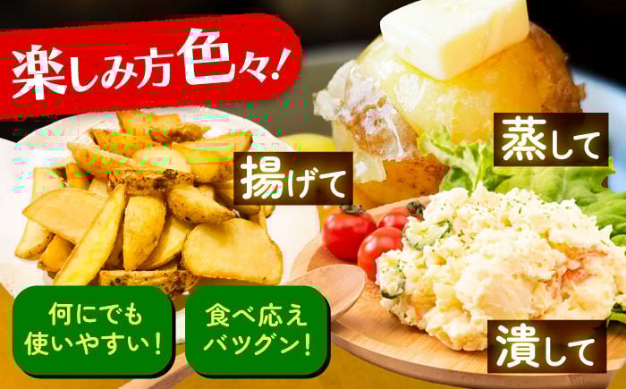 ジャガイモ じゃがいも 食べ比べ 野菜 男爵 国産 足寄町 北海道