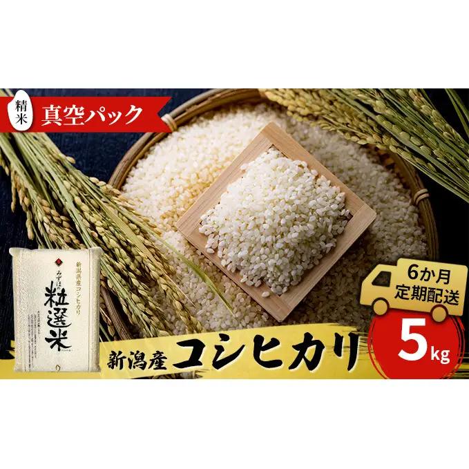 新潟産コシヒカリ精米5kg　真空パック（6か月定期配送） お米 