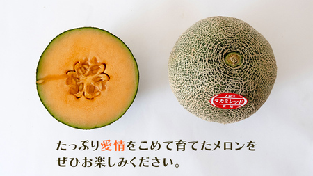 【 令和7年産 】【 先行予約 】タカミレッドメロン 秀品 1箱 2玉入り 飯岡 メロン 貴味 タカミ 赤肉 果物 フルーツ 甘い [CG002ya]