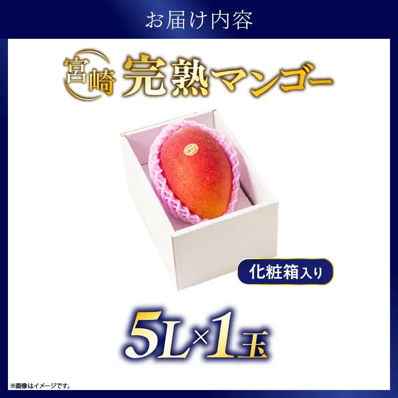 先行予約 完熟マンゴー 5L×1玉（化粧箱）マンゴー 宮崎 果物 フルーツ くだもの 2027年 国産 高級 マンゴージュース 南国フルーツ おすすめ デザート ギフト 贈り物 プレゼント 贈答 冷蔵