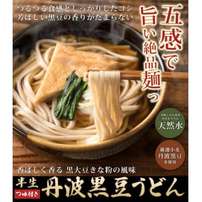 ふるさと納税 朝来市 丹波黒豆うどん10人前(2人前×5袋)つゆ付き|黒豆きなこの香ばしさ|のどごしつるつる|やくの麺業