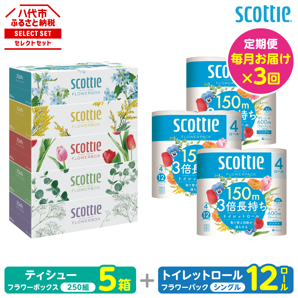 【定期便3回】【毎月お届け】【スコッティ】 組み合わせ ティシュー フラワーボックス 250組 5箱 計15箱 トイレットロール シングル フラワーパック 3倍長持ち 12ロール 計36ロール 日用品