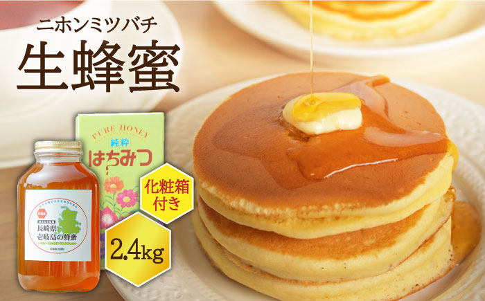 ニホンミツバチ 生蜂蜜 2,400g（化粧箱付き） 《壱岐市》【憲ちゃんハチミツ】[JCL005] ハチミツ 蜂蜜 日本蜜蜂 ギフト プレゼント 贈り物 化粧箱 118000 118000円