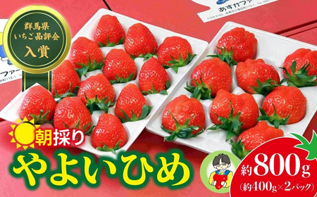 いちご品評会金賞受賞 いちご やよいひめ 400g × 2パック