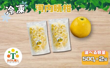 冷凍 みかん 河内晩柑 外皮なし 500g×2袋 冷凍みかん 武田屋