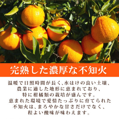 【上富田町】【ご家庭用】紀州有田産不知火(しらぬひ) 約8.5kg【配送不可地域：離島】