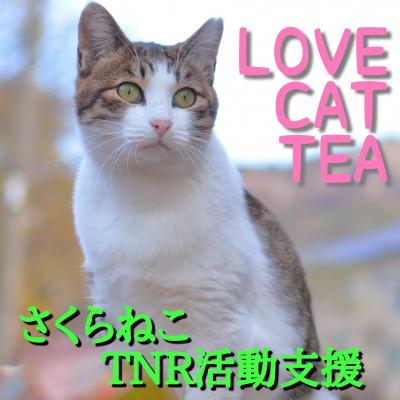 ふるさと納税 静岡市 さくらねこ支援　静岡市産本山茶(ほんやまちゃ)100g×3本　　合計300g |  | 01