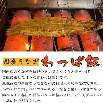 ふるさと納税 福知山市 国産うなぎ と 国産牛すき わっぱ飯 セット 130g×各2個 |  | 01