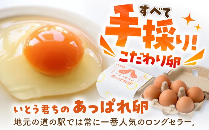 【6回定期便】いとう君ちのあっぱれ卵 80個（76個+割れ補償4個）卵 たまご 鶏卵