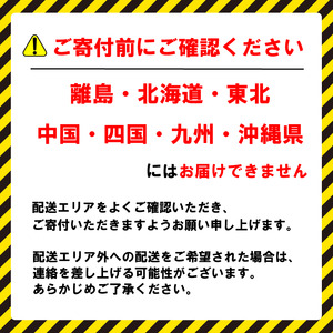 【 先行予約 2026年度発送】 特選 活 伊勢海老 1尾 伊勢海老 イセエビ