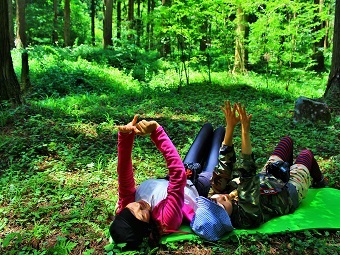 飯南町森林セラピーチケット【森林散策 観光チケット 山歩き 旅行 ガイド 体験 Ｂ-31】　