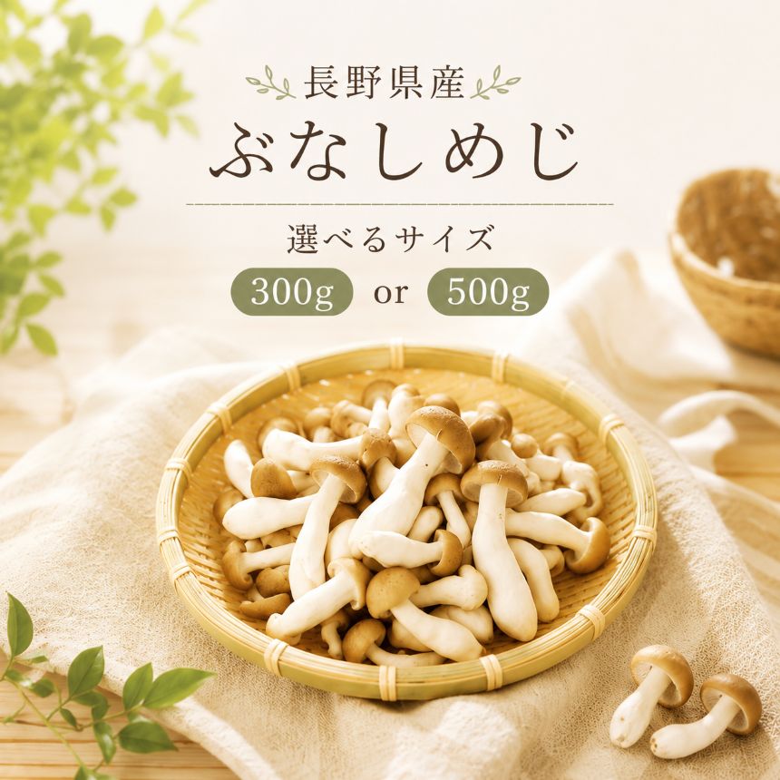 【ふるさと納税】ぶなしめじ 【選べる内容量】 | ぶなしめじ しめじ きのこ キノコ 長野県 南信州 天龍 てんりゅう