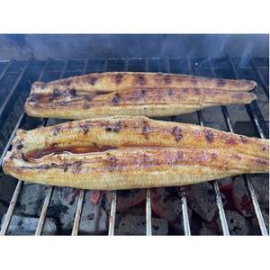【国産うなぎ】大サイズ140g -170g　三河一色産　4尾セット　炭火蒲焼き(タレ付き)【配送不可地域：離島】【1659377】