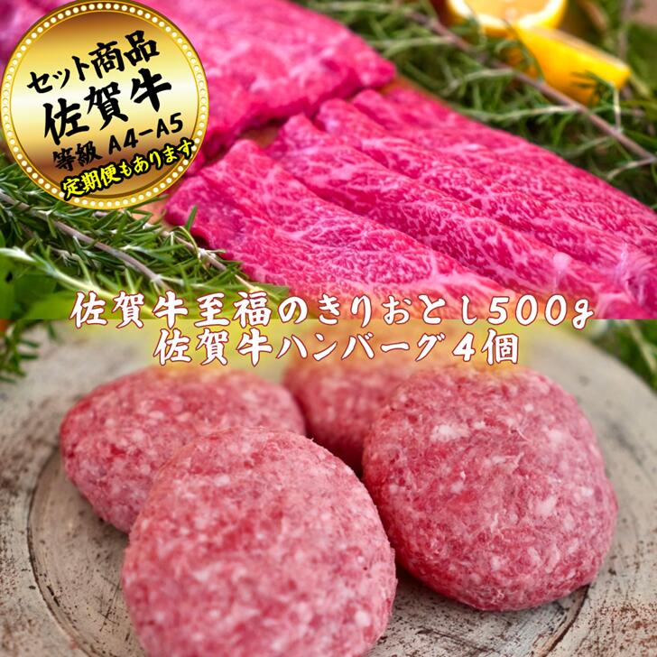【ふるさと納税】佐賀牛至福のきりおとし500gとハンバーグステーキ3個の贅沢セット！ 【定期便も選択可能】：B200-049