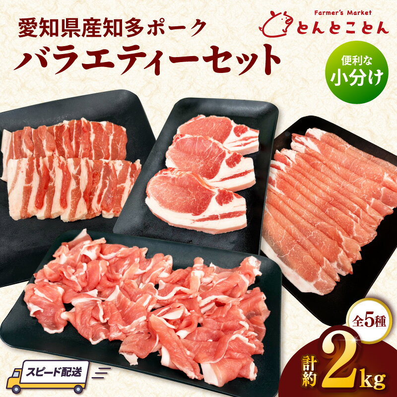【ふるさと納税】知多ポーク バラエティーセット 全5種【計 約2kg】便利な小分け！ 冷凍便 知多豚 ロースとんかつ ロースしゃぶしゃぶ 豚バラ焼肉 豚肩ロース 豚小間切れ 常滑市 豚肉 自社ブランド 美味しい肉 国産豚 農場直営 愛知県産豚肉 パック 詰め合わせ 送料無料