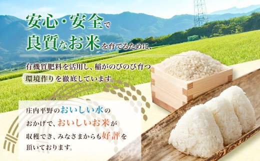 【令和8年産 新米】雪若丸 精米10kg(5kg×2袋) 山形県鶴岡市 らん工房 | ゆきわかまる 10キロ 米 お米 おこめ コメ こめ 食品 ご飯 ごはん おいしい お取り寄せ 農家直送 お弁当 