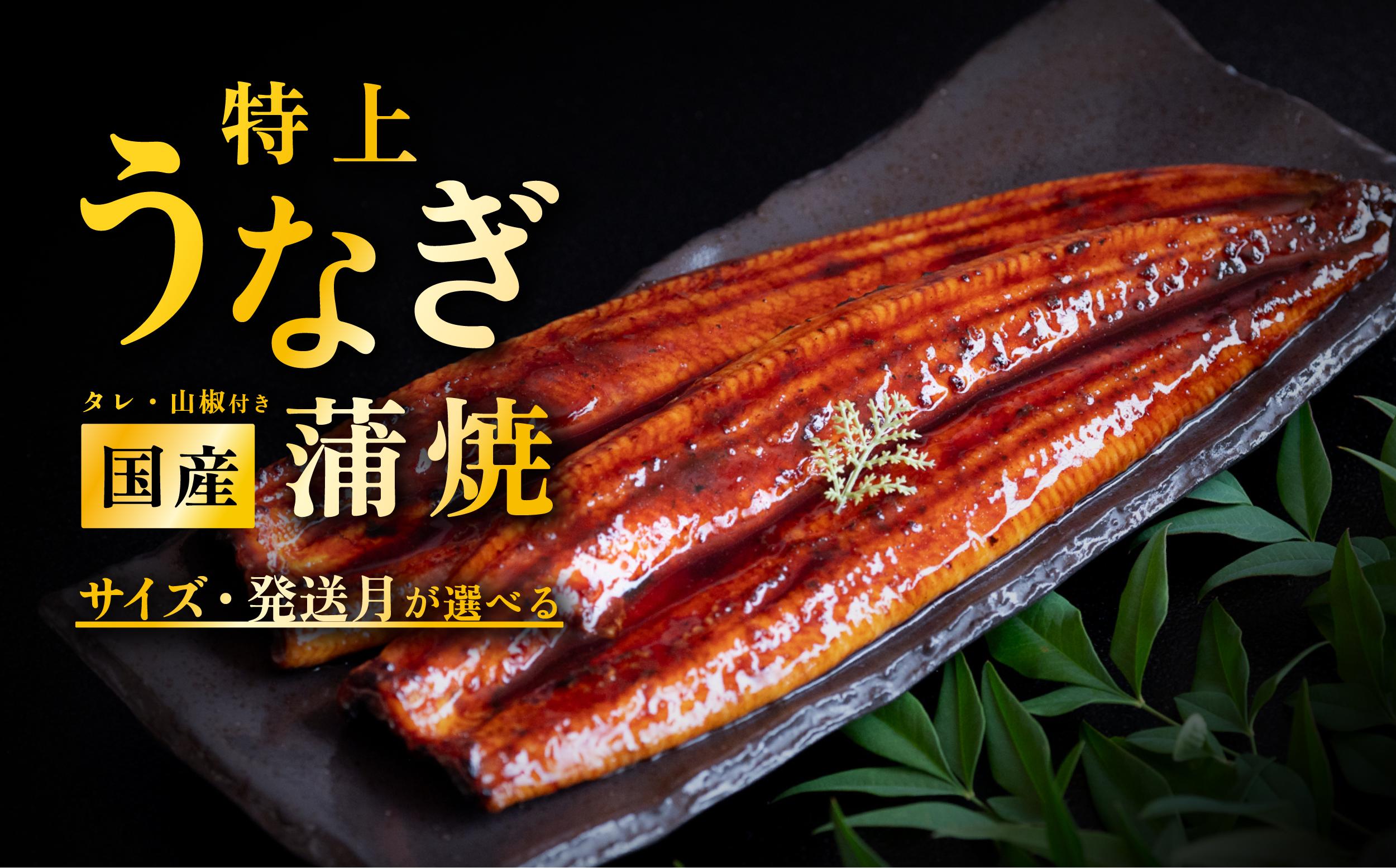 
                  【 発送月・容量が選べる！ 】国産 うなぎ蒲焼 タレ・山椒付き  2尾 250g以上  /  4尾 500g以上  /  特上1尾 270g以上  /  特上2尾 550g以上 鰻 ウナギ たれ タレ たっぷり うな重 鰻重 ひつまぶし  [SZR]
                