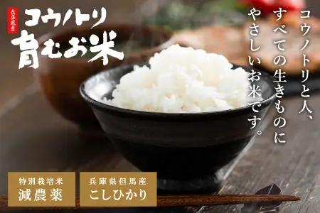減農薬 令和7年産 コウノトリ育むお米 パックご飯 200g×24食