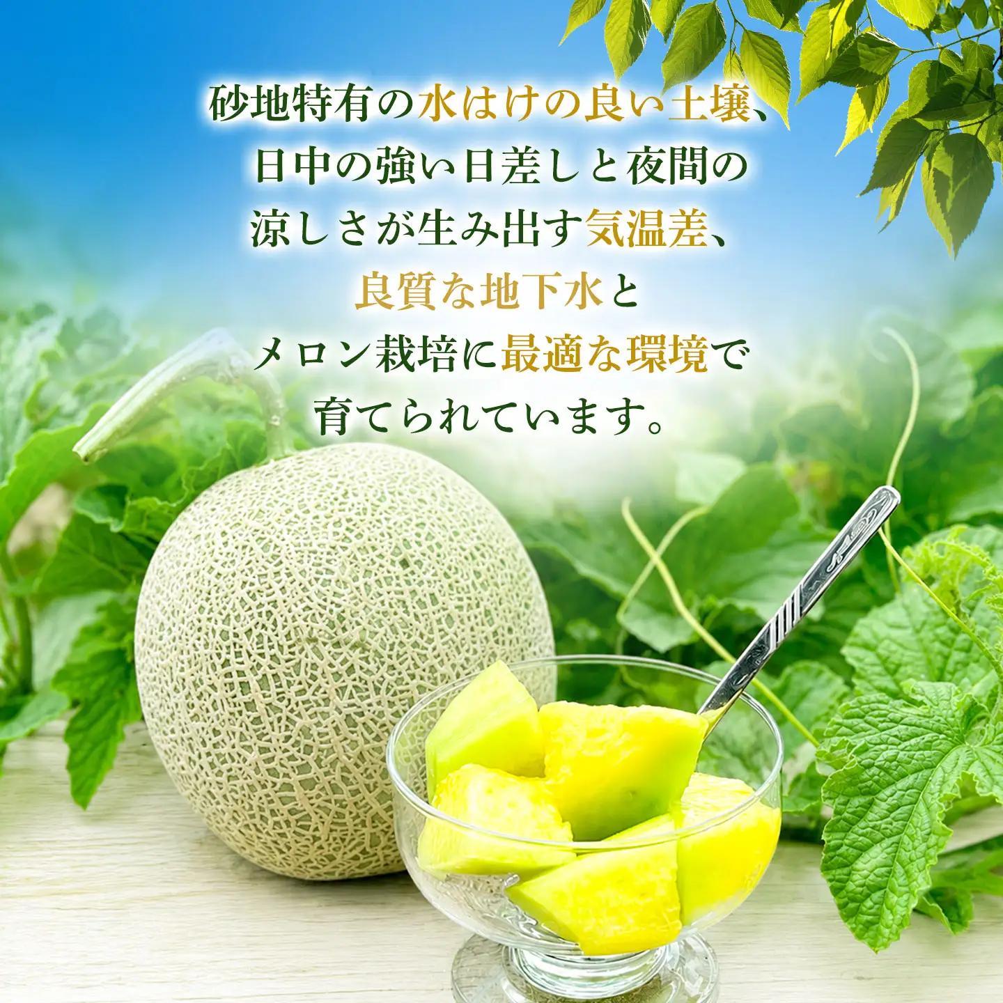 庄内砂丘アンデスメロン 約5kg(3玉～5玉) 蔓あり 令和9年産 K-935 菅原農園