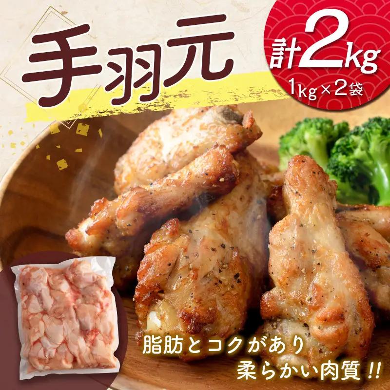 宮崎県産鶏肉 スペシャル鶏三昧セット 合計5kg【B607-2505】