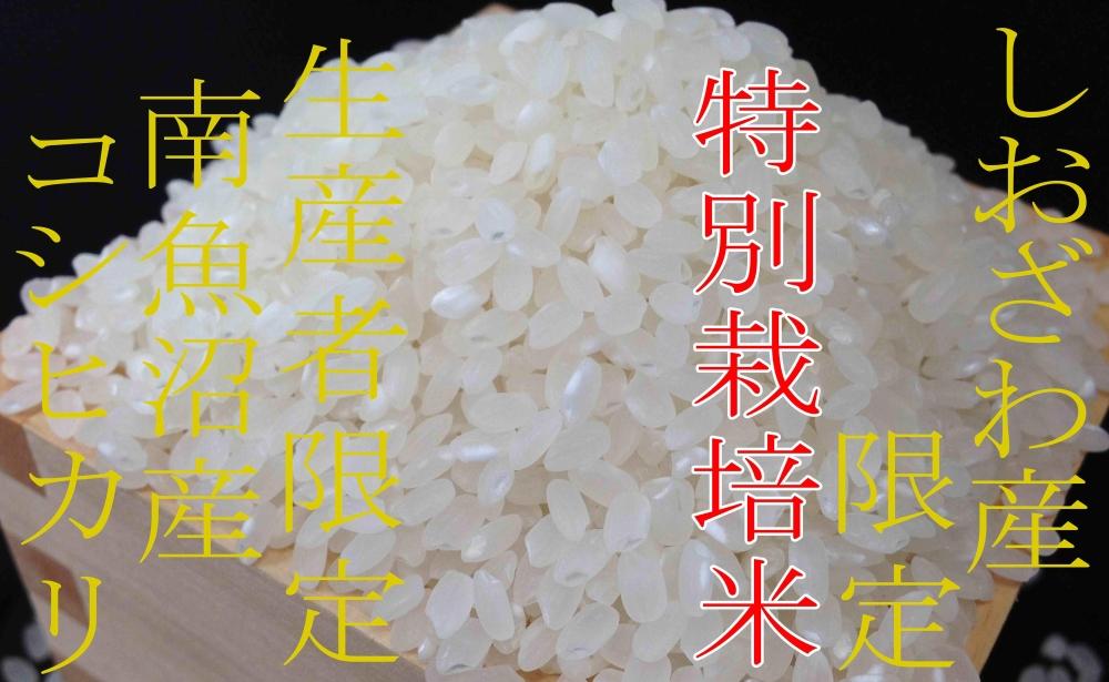 【令和7年産】【定期便10kg×3ヶ月】特別栽培 しおざわ産限定 生産者限定 南魚沼産コシヒカリ