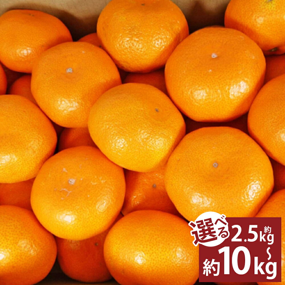 【ふるさと納税】＜選べる内容量＞ 温州みかん 2S～2Lサイズ 約2.5kg / 約5kg / 約7kg / 約10kg みかん ミカン 蜜柑 柑橘 かんきつ フルーツ くだもの 果物 果実 熊本県産 国産 九州 熊本県 熊本市 送料無料 【2026年11月上旬～12月上旬発送予定】