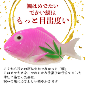 和菓子 紅鯛の生菓子  タイ お祝い 内祝い 贈り物 贈答用 ギフト 和菓子 和菓子 和菓子 和菓子 kanekoya003