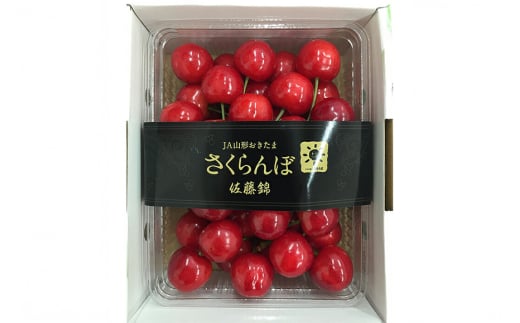 【期間限定発送】 さくらんぼ 置賜産 佐藤錦 特秀 L～3L 500g [JA山形おきたま 山形県 高畠町 tk06ays870014] サクランボ チェリー 山形 果物 フルーツ くだもの