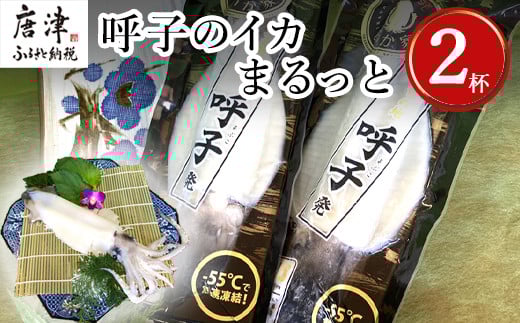 呼子のイカまるっと2杯 瞬間冷凍の旨さを呼子発でお届け 海鮮 スルメイカ 新鮮松いか