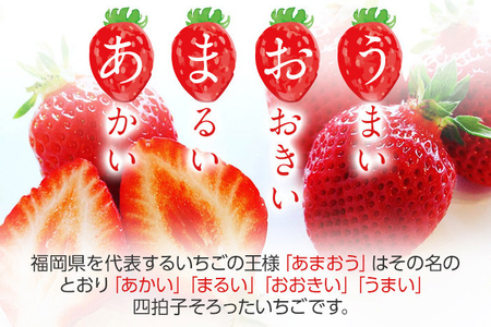 荒巻エコタロウ農園のぜいたく定期便（あまおう約300g×3回）【2026年2月〜3月】　BJ08