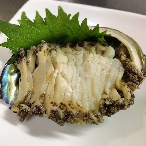 【2025年11月～発送】アワビ 約1kg (7個前後) ※アワビヘラ＆軍手付き※【期間限定】｜11月～12月発送 三陸 岩手県 大槌町 あわび 人気 鮑 刺身 いわて iwate 初栄丸