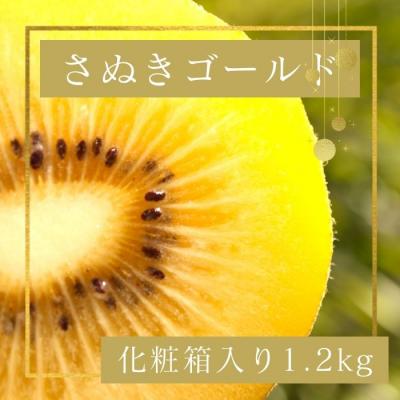 ふるさと納税 多度津町 さぬきゴールド キウイフルーツ 1.2kg化粧箱入り【A-113】