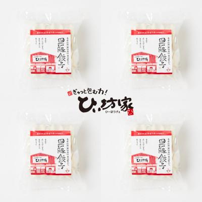 ふるさと納税 南九州市 【発送月固定定期便】ひぃ坊家の餃子定期便　黒豚餃子詰め合わせ80個全3回 |  | 01