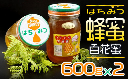 
蜂蜜（百花蜜６００ｇ）２個セット K1
