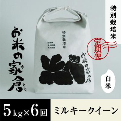 ふるさと納税 長浜市 【毎月定期便】特別栽培 ミルキークイーン 5kg 白米全6回