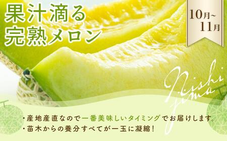 【全4回】季節 の フルーツ 定期便 | ﾌﾙｰﾂﾌﾙｰﾂﾌﾙｰﾂﾌﾙｰﾂ 定期便