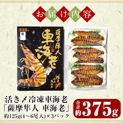 ふるさと納税 霧島市 活き〆冷凍車海老「薩摩隼人車海老」約125g(4〜6尾入)×3パック【MBC開発】　B-014 |  | 02