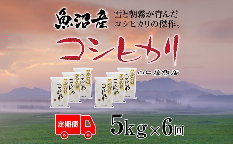 
            定期便 全6回 魚沼産コシヒカリ 5kg
          