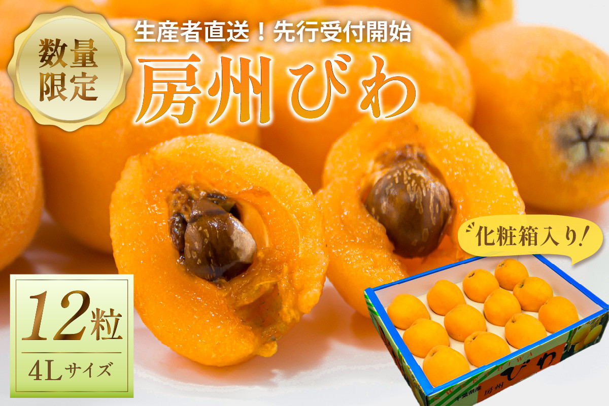 
            【2025年5月下旬～6月中旬発送予定】房州びわ4L以上サイズ×12粒（化粧箱入り） mi0044-0016
          