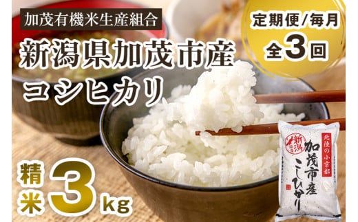 【令和7年産新米先行予約】【定期便3回毎月お届け】新潟県加茂市産コシヒカリ 精米3kg  《10月中旬から順次出荷 》白米 加茂有機米生産組合 定期便