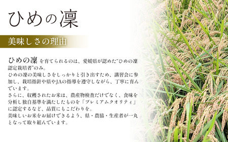 【新米】ひめの凜 プレミアムクオリティ 10kg 新米 愛媛県ブランド米【令和7年産・JA周桑】