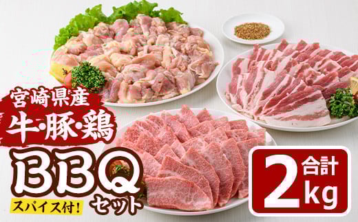 宮崎県産 牛・豚・鶏 BBQ セット(合計2.5kg・ スパイス 小袋付) 宮崎牛 豚バラ 鶏モモ もも 焼肉 焼き肉 バーベキュー アウトドア バラ 豚 肉 国産 冷凍 小分け 宮崎県 門川町【MF-72】【エムファーム】