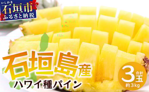 【先行予約】《2025年6月上旬頃より順次発送》石垣島産 ハワイ種 パイン (3玉 約3㎏) 【 産地直送 沖縄 石垣 パイナップル フルーツ 】石垣さんちの石垣トロピカルファーム TP-4