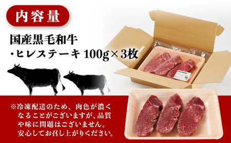 【国産黒毛和牛】ヒレステーキセット100g×3枚_19-E901_(都城市) 黒毛和牛 ヒレステーキ 100g×3枚