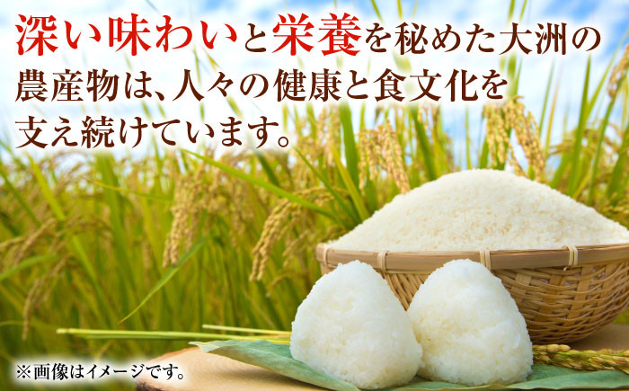 【大洲産】精米　ヒノヒカリ　6kg（3kg×2袋）