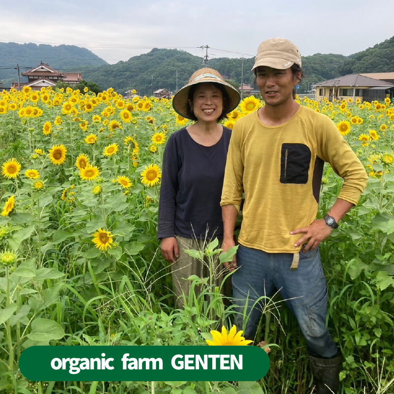 【栽培期間中無農薬】野菜のプロが選ぶ. 旬の野菜・卵・天然塩  全５〜７品詰め合わせセット（レシピ付き） 野菜 塩 卵 たまご 有機農家  野菜セット オーガニック レシピ 広島県 三原市 佐木島 0