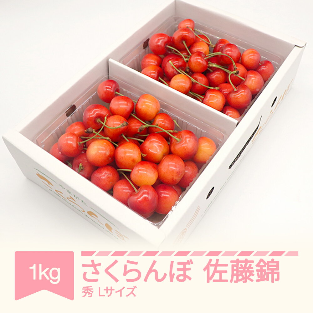 【ふるさと納税】【先行予約】さくらんぼ 佐藤錦 秀品 500g×2パック 1kg L玉 バラ詰 2025年産 令和7年産 山形県産 送料無料
