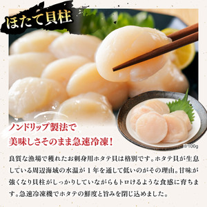 敦賀の豪華 海鮮福袋 5種 [024-e101] 