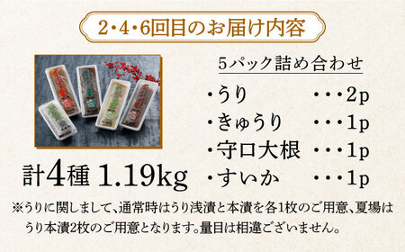 【交互にお届け！全6回定期便】奈良漬クリームチーズ 4種 × 奈良漬「琥珀神(こはくかんさ)」4種 1.19kg《築上町》【奈良漬さろん安部 / SALON DE AMBRE】奈良漬 奈良漬け チーズ